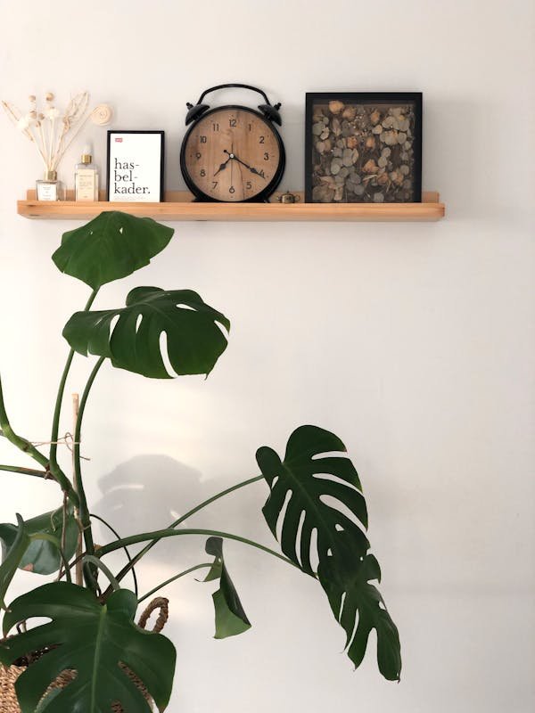 Des astuces pour choisir votre étagère murale idéale